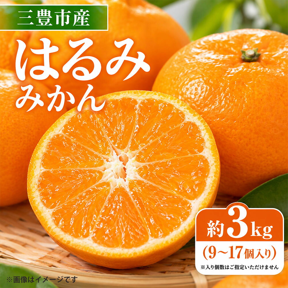 みかん はるみみかん 約3kg 三豊市産 [ はるみ 柑橘 果物 フルーツ 旬 国産 香川県産 産地直送 お取り寄せ 新鮮 ギフト 贈答用 送料無料 季節限定 くだもの 10,000円 返礼品 香川県 三豊市 五色青果 ]
