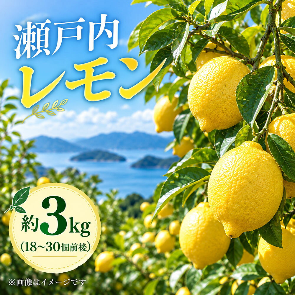 レモン 瀬戸内レモン 約3kg 三豊市産 [ 檸檬 国産レモン 柑橘 果物 フルーツ 旬 香川県産 産地直送 お取り寄せ 料理 お菓子 ドリンク 送料無料 季節限定 くだもの 15,000円 返礼品 香川県 三豊市 五色青果 ]