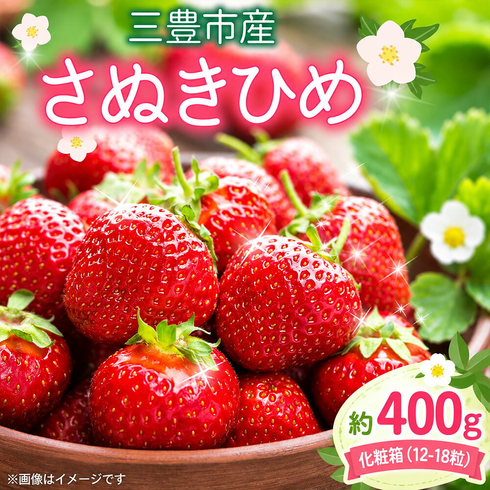 いちご さぬきひめ 約400g 化粧箱入り 三豊市産 [ 苺 イチゴ 果物 フルーツ 旬 国産 香川県産 産地直送 お取り寄せ ギフト 贈答用 送料無料 季節限定 くだもの 15,000円 返礼品 香川県 三豊市 五色青果 ]