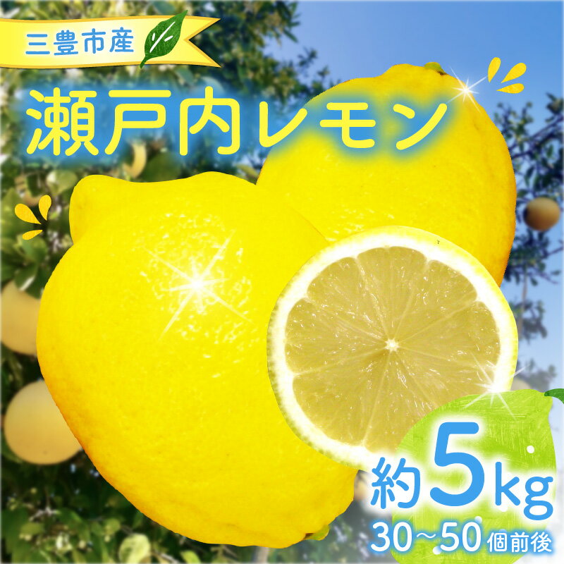 【ふるさと納税】 三豊市産 瀬戸内レモン 約5kg（30～50個前後） 檸檬 れもん 爽やか 香り