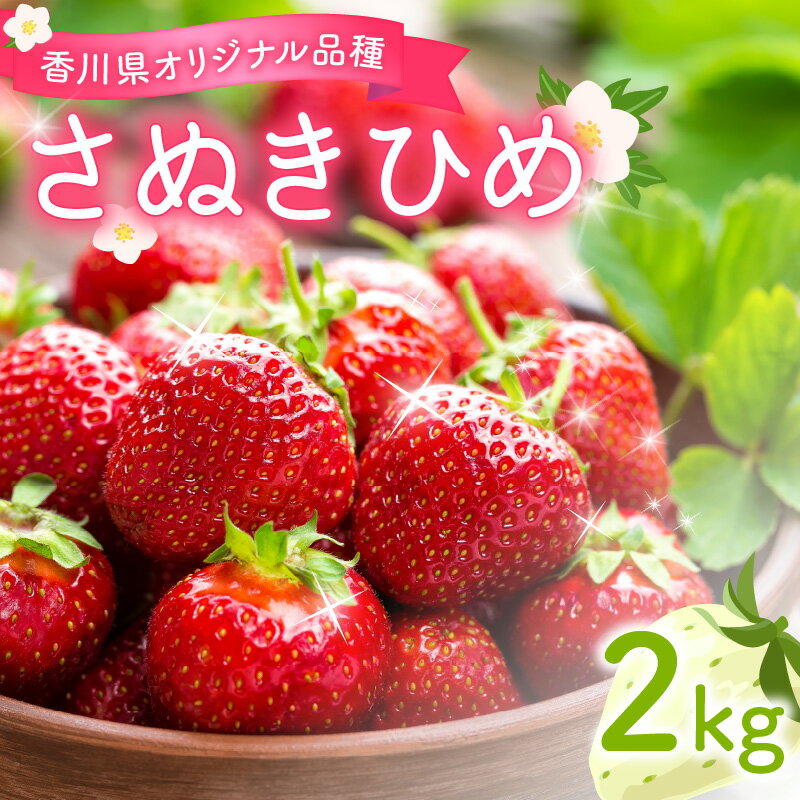 いちご 約 2kg 250g 8パック さぬきひめ 1月以降順次発送 光沢のある ジューシー 果肉 丸み かわいい 甘み 深みのある 香り 香川県 三豊市 オリジナル品種 果物 フルーツ お取り寄せ 送料無料