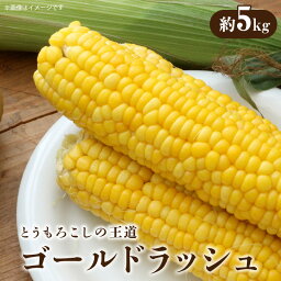 【ふるさと納税】【先行予約】とうもろこし「ゴールドラッシュ」約5kg