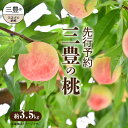 【ふるさと納税】先行予約 とろける果肉 「三豊の桃」 約3.5kg もも ギフト フルーツ