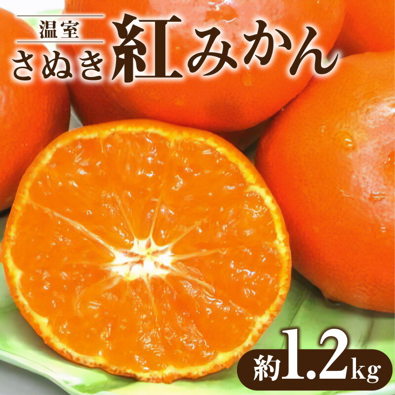 【ふるさと納税】【先行予約】 温室さぬき紅みかん 約1.2kg 温室 さぬき 紅みかん みかん 柑橘 果物 フルーツ 高糖度 紅色 果肉 果実 オリジナル 香川県オリジナルみかん 国産 フルーツ王国 温室栽培 温室 栽培 香川県 三豊市 送料無料