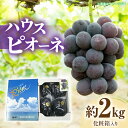 【ふるさと納税】【先行予約】 【配送不可地域:北海道・沖縄県・離島】 ハウスピオーネ 約2kg化粧箱入り