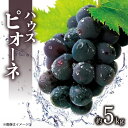 26位! 口コミ数「0件」評価「0」【先行予約】ハウスピオーネ　約5kg