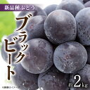【ふるさと納税】【先行予約】 【配送不可地域:北海道・沖縄県・離島】 新品種 ぶどう ブラックビート 約 2kg ジューシー 大粒 藤稔 と ピオーネ のかけ合...