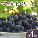 【ふるさと納税】【先行予約】【配送不可地域:北海道・沖縄県・離島】 マスカットベリーA 約4kg 7〜15房入り ブドウ フルーツ 果物 甘い ほどよい酸味 冷...