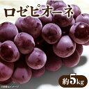 【ふるさと納税】【先行予約】【配送不可地域:北海道・沖縄県・離島】ブドウ ロゼピオーネ 約5kg 種なし ピオーネ 大粒 濃厚 人気 フルーツ 果物 デザート ...