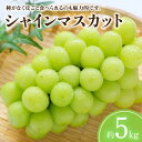 【ふるさと納税】【先行予約】【配送不可地域:北海道・沖縄県・離島】シャインマスカット 約 5kg 5~12房 送料無料 産地直送 旬の果物 マスカット フルーツ...