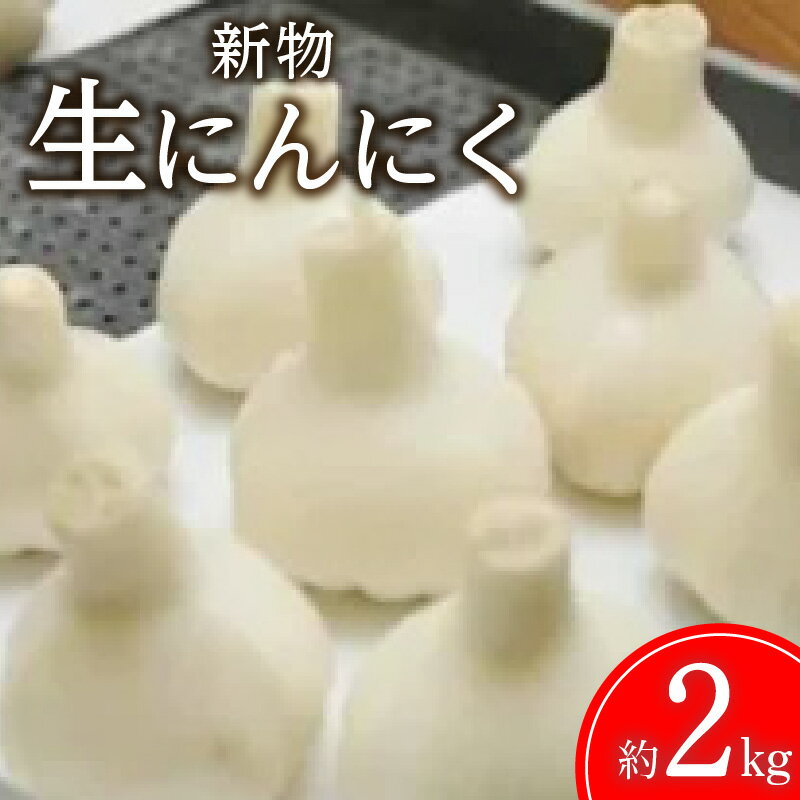 [先行予約][新物]生にんにく 約2kg