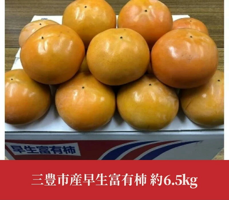 【ふるさと納税】富有柿 三豊市産早生富有柿 約6.5kg [ ふゆう柿 5kg 以上 柿 カキ かき 直送 新鮮 旬 美容効果 栄養価 送料無料 フルーツ 果物 お取り寄せ 詰め合わせ 詰合せ 秋 旬 10000 10,000円 台 香川県 三豊市 五色青果 ] f372081-mitoyo-10000753 香川県三豊市 サンプル画像2