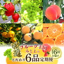 【ふるさと納税】【配送不可地域:北海道・沖縄県・離島】フルーツ王国 みとよ 特選 こだわり 6品 (奇数月) 定期便 定期 フルーツ 果物 果実 旬 旬の時期 ...