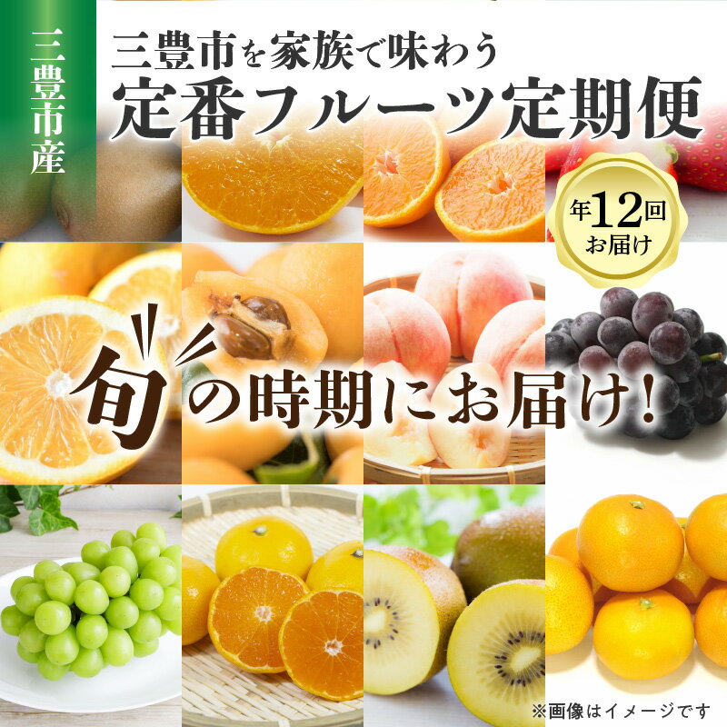【ふるさと納税】フルーツ 定期便 12回 こだわり 12品 産地直送 キウイ せとか デコポン いちご 甘夏 ビワ 桃 ピオーネ シャインマスカット みかん ゴールドキウイ 石地みかん 果物 旬 フルーツ王国 お取り寄せ 三豊市 香川県