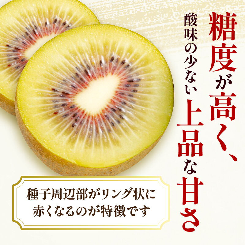 【ふるさと納税】 エンジェルスイートキウイ 約1kg (6～10玉入り) 化粧箱入り [ フルーツ デザート 果物 果実 キウイ オリジナル さぬき讃フルーツ さぬき 1kg お土産 ランキング グルメ 香川県 三豊市 10000円 10,000円 台 返礼品 お取り寄せギフト 送料無料 五色青果 ] f372081-mitoyo-10001386 香川県三豊市 サンプル画像2