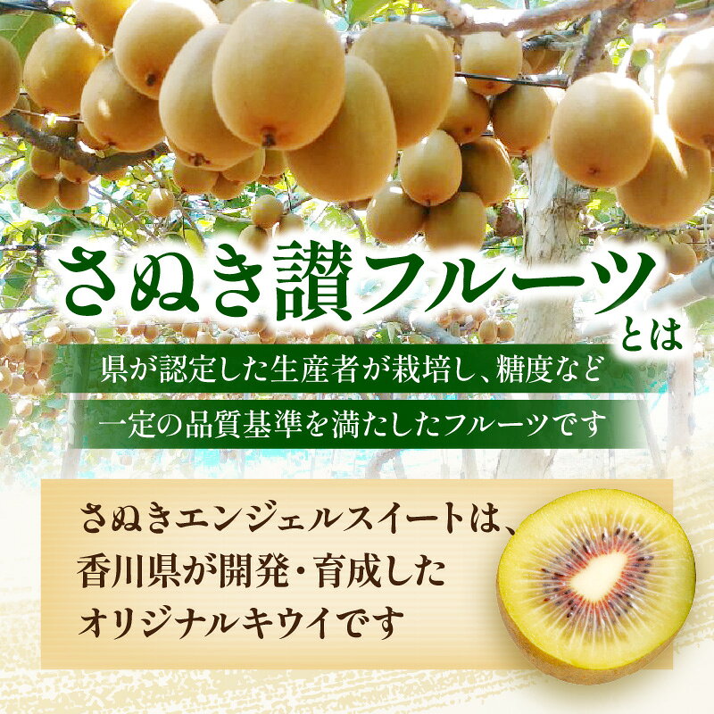 【ふるさと納税】 エンジェルスイートキウイ 約1kg (6～10玉入り) 化粧箱入り [ フルーツ デザート 果物 果実 キウイ オリジナル さぬき讃フルーツ さぬき 1kg お土産 ランキング グルメ 香川県 三豊市 10000円 10,000円 台 返礼品 お取り寄せギフト 送料無料 五色青果 ] f372081-mitoyo-10001386 香川県三豊市 サンプル画像3