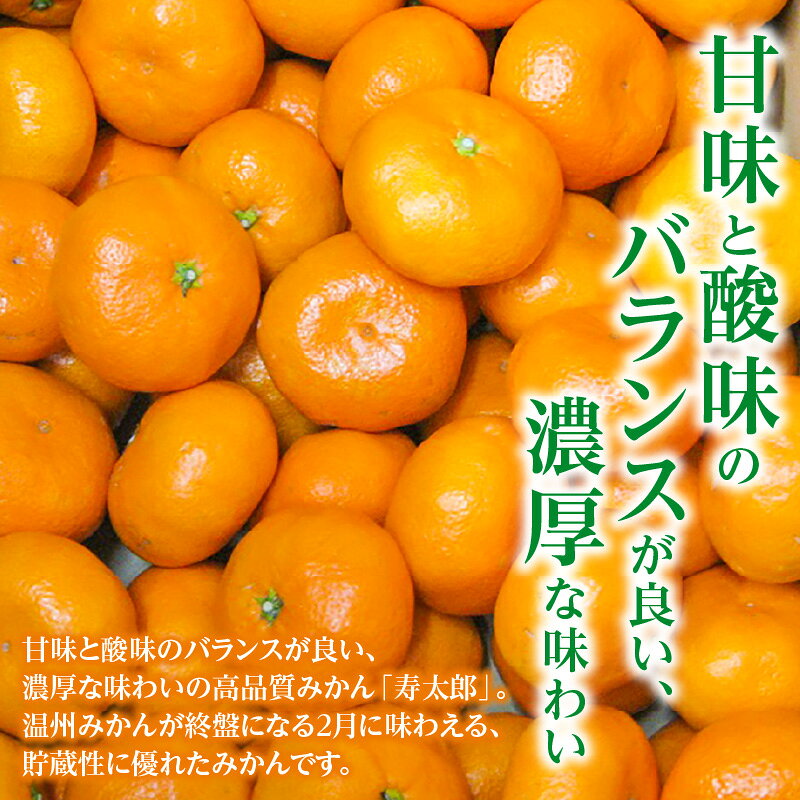 【ふるさと納税】 フルーツ みかん 寿太郎 みかん 約 5kg (2Ⅼ～Sサイズ) 濃厚な甘味と爽やかな酸味が特徴 [ 果物 柑橘 ジューシー 甘い 旬 新鮮 直送 産地直送 予約販売 人気 お取り寄せ ギフト お歳暮 贈答用 家庭用 10,000円 台 送料無料 香川県 三豊市 返礼品 五色青果 ] f372081-mitoyo-10001390 香川県三豊市 サンプル画像2