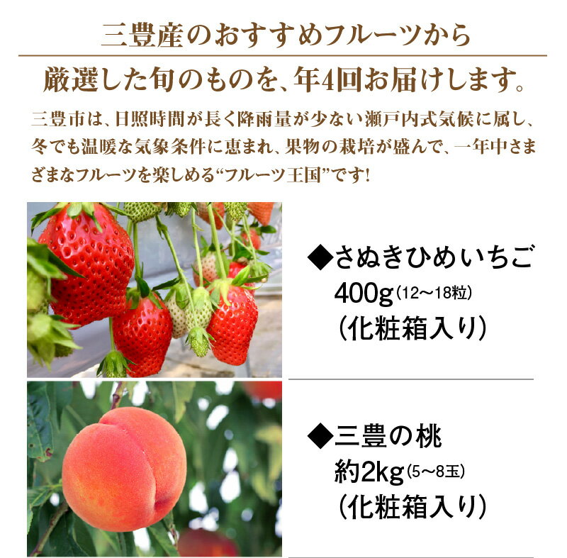 【ふるさと納税】定期便 フルーツ R 年4回 人気 厳選 三豊市産 いちご さぬきひめ 約400g 桃 約 2kg シャインマスカット 1房 約800g 高糖度 石地みかん 約5kg 化粧箱 旬の時期にお届け フルーツ王国 みとよ お取り寄せ 果物 送料無料