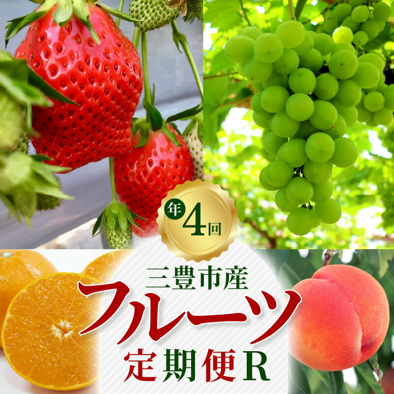 【ふるさと納税】定期便 フルーツ R 年4回 人気 厳選 三豊市産 いちご さぬきひめ 約400g 桃 約 2kg シャインマスカット 1房 約800g 高糖度 石地みかん 約5kg 化粧箱 旬の時期にお届け フルーツ王国 みとよ お取り寄せ 果物 送料無料