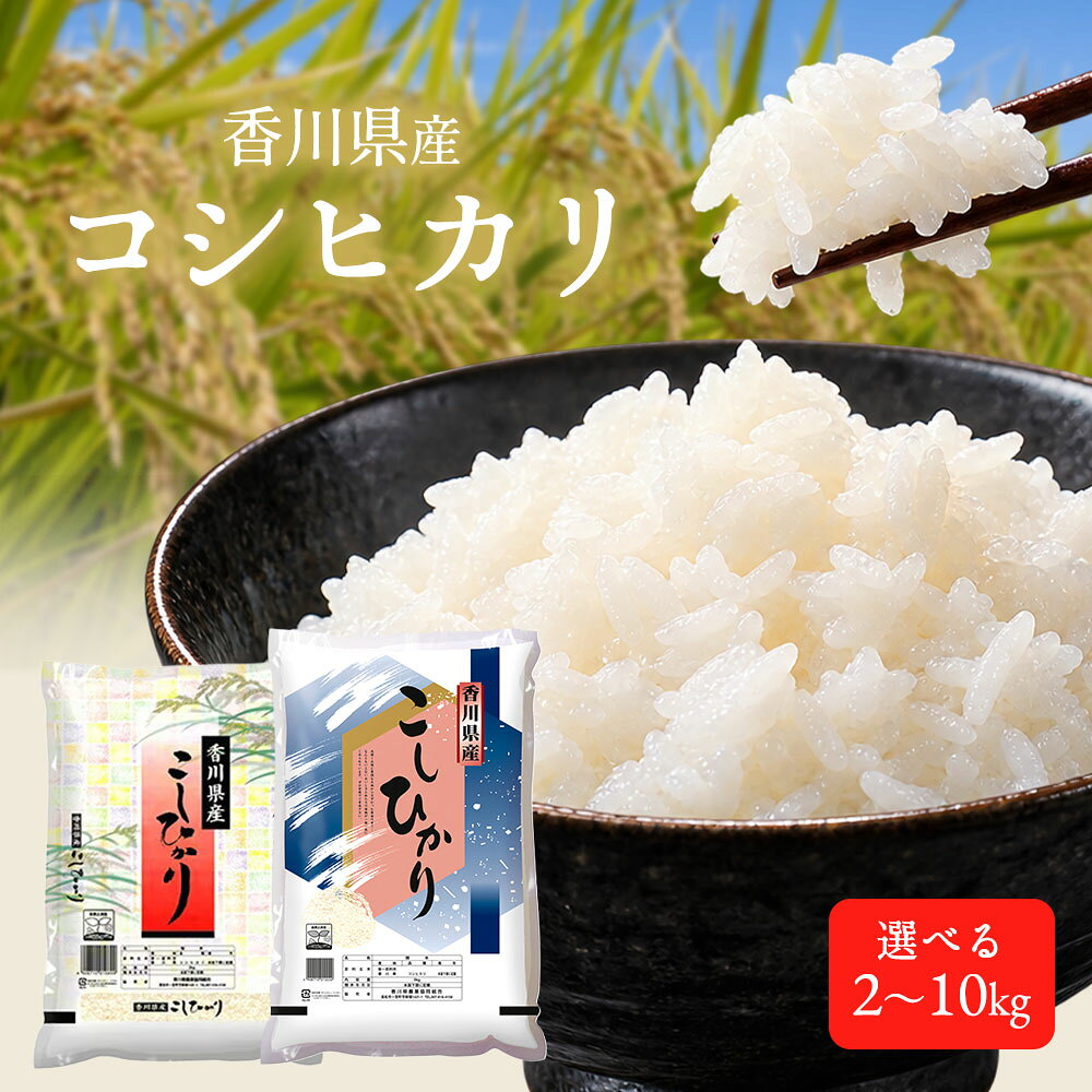 米 コシヒカリ 2kg〜10kg 香川県産 [ 白米 精米 ごはん お米 こめ 国産米 2kg 5kg 10kg 10,000円 20,000円 40,000円 台 返礼品 香川県 三豊市 五色青果 ]