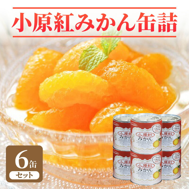 16位! 口コミ数「2件」評価「5」小原紅みかん缶詰 6缶セット 讃岐罐詰 柑橘 オリジナル品種 常温保存 備蓄 保存食 防災 缶切り不要 食品 フルーツ フルーツ缶 果物 詰･･･ 