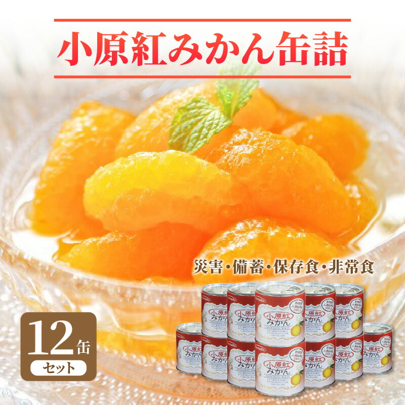 25位! 口コミ数「1件」評価「4」みかん 缶詰 295g 12缶 セット 小原紅みかん 甘い 災害 備蓄 保存食 非常食 長期保存 防災 災害対策 果肉 果物 フルーツ 食料･･･ 