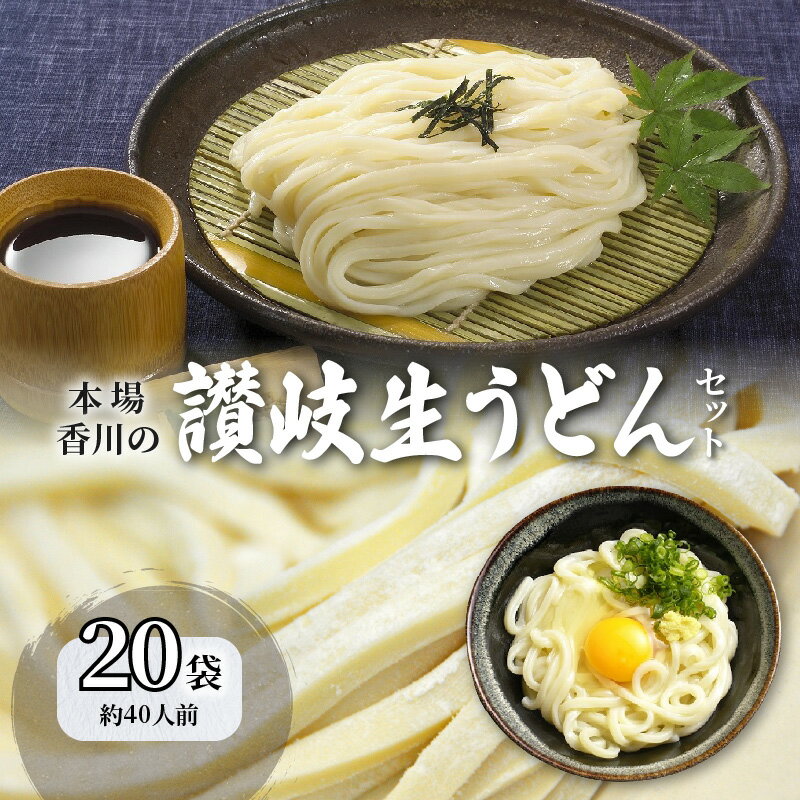 【ふるさと納税】うどん 香川 讃岐生うどん セット 40人前