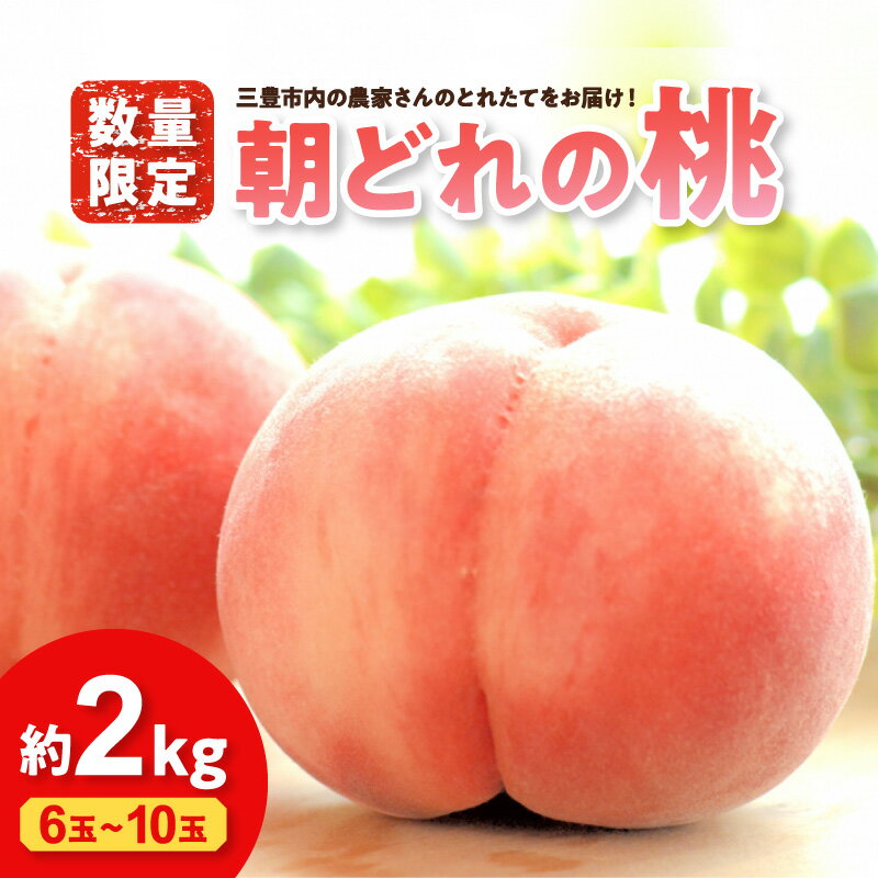 【ふるさと納税】【数量限定】三豊市内の農家さんのとれたてをお届け！朝どれの桃 約2kg