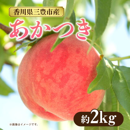 【2024年7月中旬から順次発送】モモ あかつき 約2kg 白桃 と 白鳳 を交配 人気 果物 フルーツ 食品 スイーツ デザート 旬 甘い 酸味が少ない 香川県三豊市産 冷蔵 お取り寄せ お取り寄せグルメ 送料無料 産地直送 ギフト プレゼント クール便