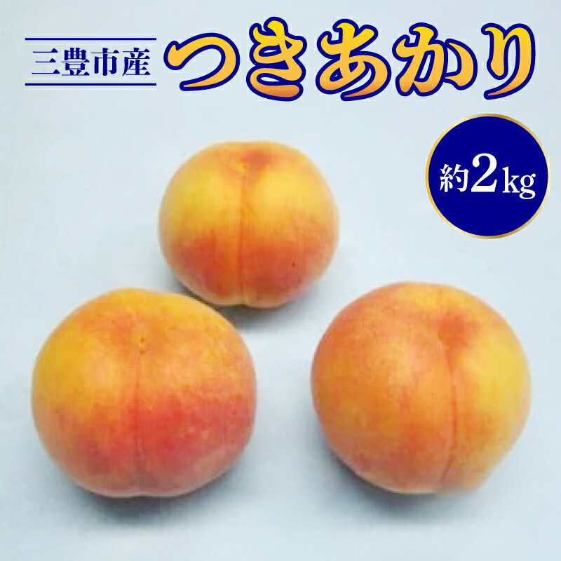 [2024年8月上旬から順次発送]香川県三豊市産「つきあかり」(約2kg)