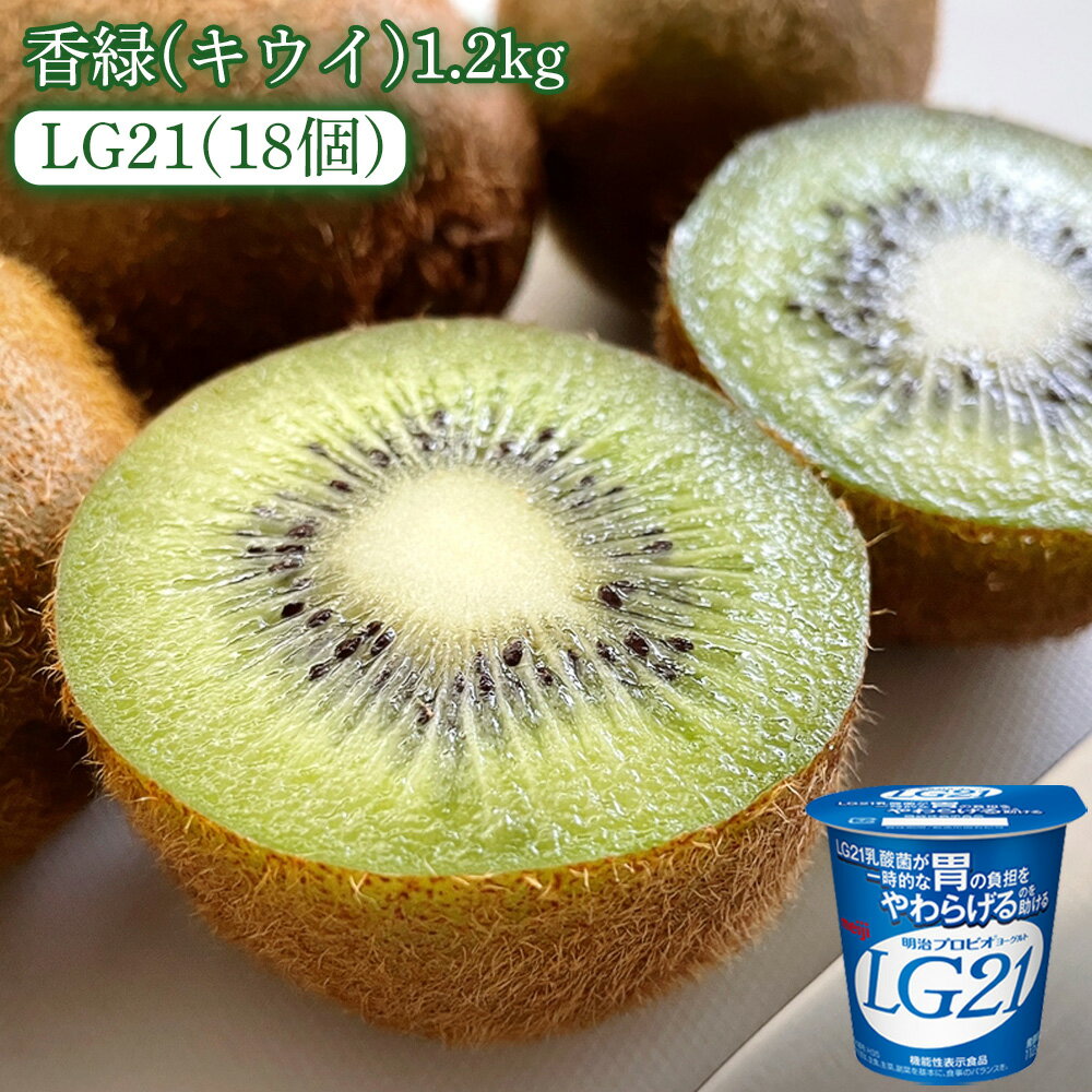 【ふるさと納税】【先行予約】【配送不可地域:北海道・沖縄県・離島】香緑(キウイ)1.2kg(化粧箱)と四国明治株式会社で作られた プロビオヨーグルトLG21 18個