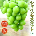 【ふるさと納税】【先行予約】【配送不可地域:北海道・沖縄県・離島】シャインマスカット大粒 1房【800g以上】【糖度17度以上】皮 旬 時期 糖度 香川 季節 ...