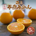 【ふるさと納税】【配送不可地域:北海道・沖縄県・離島】三豊市産 極上【マル曽 早生みかん約5kg】S〜Mサイズ 14000円 秋 旬