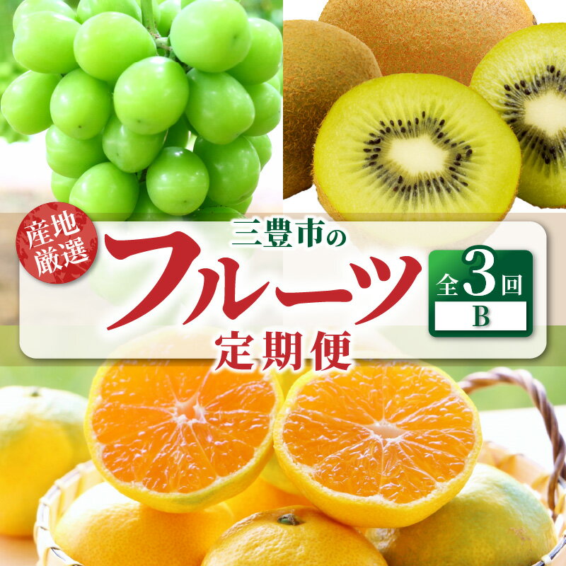 【ふるさと納税】 フルーツ定期便 フルーツ 3回 定期便B [ シャインマスカット ゆら早生 みかん グリーンキウイ マスカット キウイ 蜜柑 秋 旬 産地 厳...