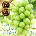 【ふるさと納税】【先行予約】【配送不可地域:北海道・沖縄県・離島】ハウスシャインマスカット 1房【750g以上】【糖度17度以上】 シャインマスカット 大粒 贈...