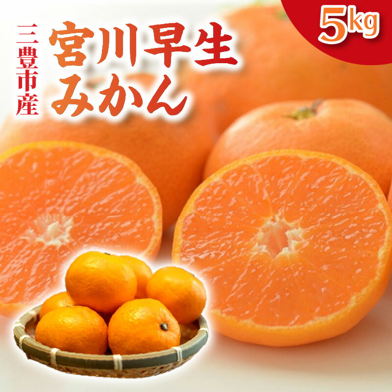 ڤդ뤵Ǽǡۤߤ ߤ SL 5kg ˭Ի  ޤä Ť ̣ Х ɤ ϸǤɾȽ ե롼 ʪ ̼ ǥ  ⼰  ˭  󤻥 ̵