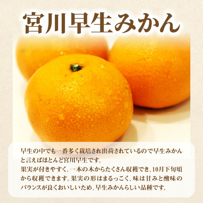 【ふるさと納税】【配送不可地域：北海道・沖縄県・離島】定期便 3回 フルーツ ゆら早生みかん 果汁たっぷり 三豊市産 厳選品 デコポン 宮川早生みかん S〜Lサイズ 甘み 酸味 旬の季節 お届け 香川県 三豊市 お取り寄せグルメ お取り寄せ 送料無料 39000円