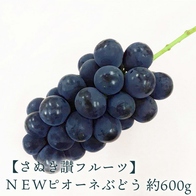 【ふるさと納税】NEWピオーネぶどう 約600g さぬき讃フルーツ 甘さとジューシーさが詰まった最高級ピオーネ！ 大粒で食べごたえ抜群！ピオーネぶどう 風味豊かで甘い、完熟ピオーネ 新鮮さが自慢のさぬき讃フルーツのピオーネ