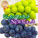 【ふるさと納税】【さぬき讃フルーツ認定】 締め切り間近 シャインマスカット&NEWピオーネ詰め合わせ シャインマスカット 大粒 贈答用 ギフト お取り寄せ 国産 旬 新鮮 産地直送 高級 ぶどう 葡萄 ブドウ 皮ごと 種なし たねなし 詰め合わせ 詰合せ 詰合わせ