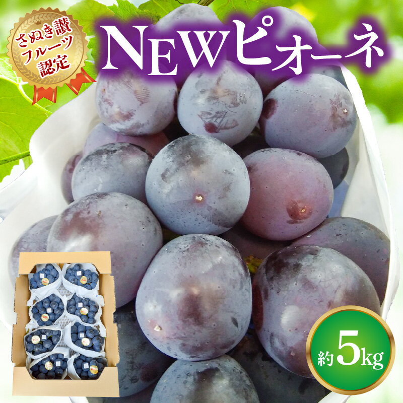 ڤդ뤵Ǽǡۡڤ̤ե롼ǧNEWԥ 5kg