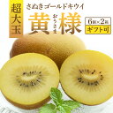 【ふるさと納税】 キウイ キウイフルーツ さぬきゴールドキウイ「黄様」超大玉6個入り×2箱 【数量限定】 [ 高糖度 大玉 フルーツ 果物 黄肉 甘い 人気 お...