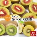 【ふるさと納税】【配送不可地域:北海道・沖縄県・離島】【さぬき讃フルーツ】キウイ食べくらべ定期便(3回) 秋 旬