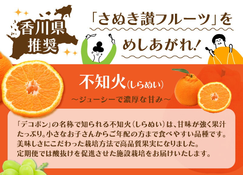 【ふるさと納税】フルーツ 定期便 計 3回 さぬき讃フルーツ 認定品限定 人気 厳選 不知火 シャインマスカット キウイ みかん デコポン マスカット ぶどう ゴールドキウイ お取り寄せ お取り寄せグルメ デザート スイーツ 食品