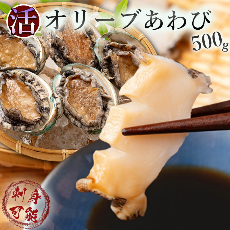 【ふるさと納税】【12回定期便】【配送不可地域:北海道・東北・沖縄県・離島】オリーブアワビ約500g(5個入り前後)×12回定期便 殻付き 鮑 特産品 送料無料 おすすめ お取り寄せ お取り寄せグルメ 海鮮 ステーキ 酒蒸し バター焼き ソテー 鉄板焼き BBQ 129000円 あわび