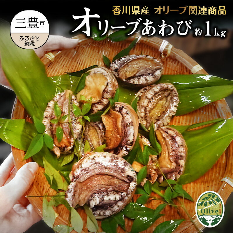 記事ID36812のサムネイル画像
