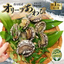 【ふるさと納税】オリーブあわび 約1kg 10～12個程度 殻付き 鮑 特産品 送料無料 食品 おすすめ お取り寄せ お取り寄せグルメ 海鮮 魚介 ステーキ 酒蒸し バター焼き ソテー 鉄板焼き BBQ キャ…