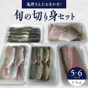 【ふるさと納税】切り身 セット 5～6パック 2～3人様用 