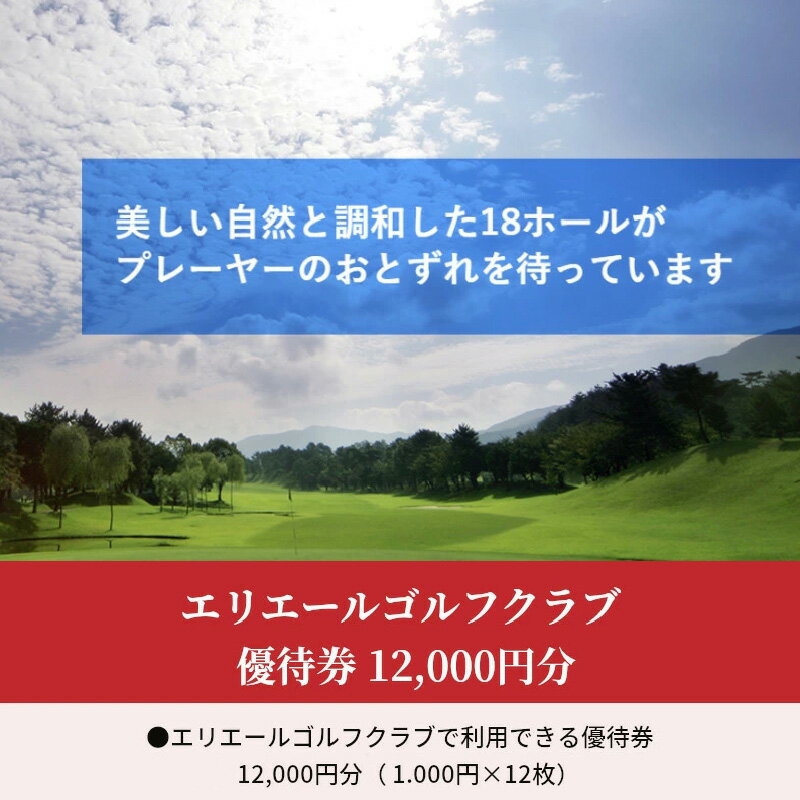 【ふるさと納税】エリエールゴルフクラブ 優待券 12,000円分
