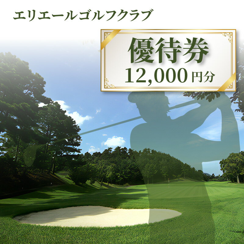 【ふるさと納税】エリエールゴルフクラブ 優待券 12,000円分 父の日