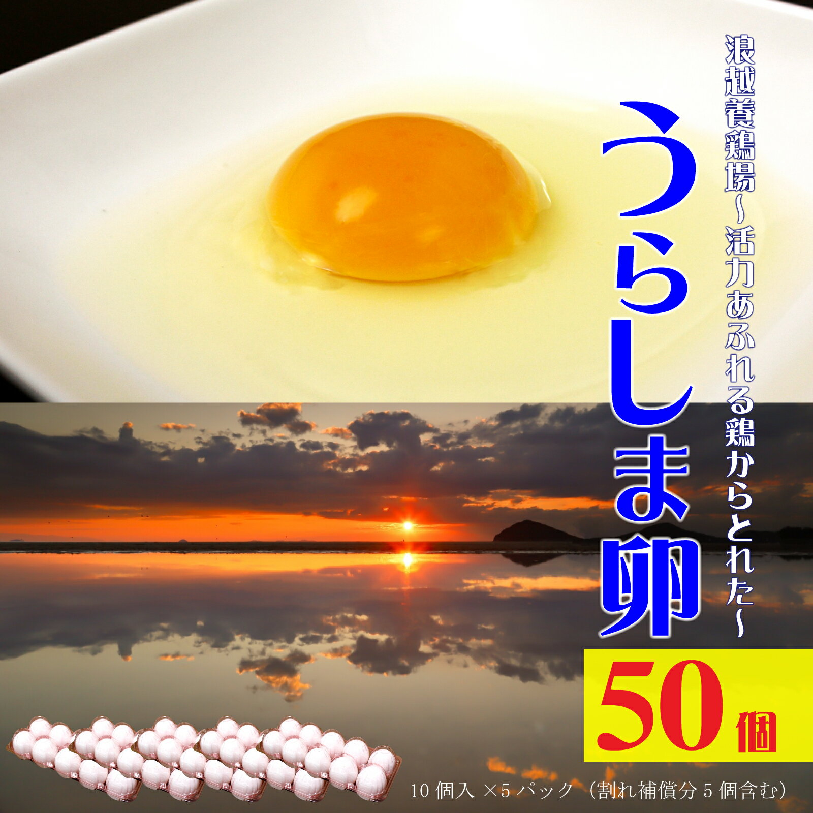 【ふるさと納税】 卵 新鮮【うらしま卵】〜竜宮からの贈りもの〜たまご50個(45個+割れ補償5個) [ うらしま卵 たまご 国産 鶏卵 浦島 産地直送 50個セ...